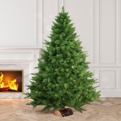 Rødgran (Picea abies)